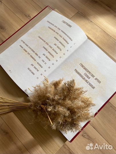 Родословная / Генеалогическое древо / История