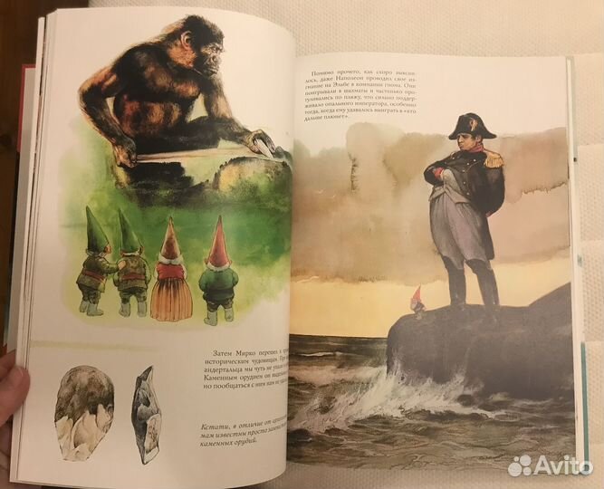 Книга детская Тайны гномов. Вил Хейген