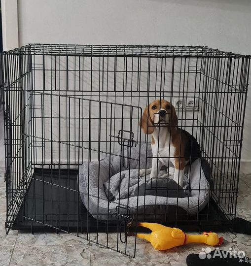 Клетка для собак усиленная №5 и №3
