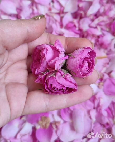 Варенье из лепестков роз