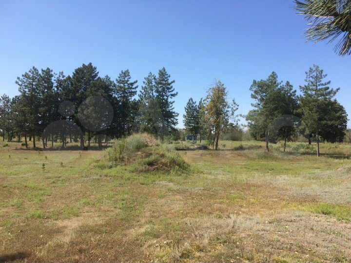 Участок 1,3 га (промназначения)