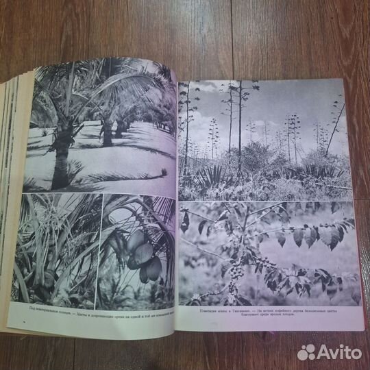 Книги СССР