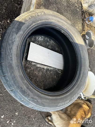 Dunlop Conquest Sport A/S 205/55 R16