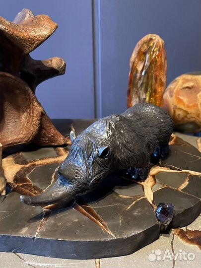 Палеонтология. Шертистый. rhinoceros