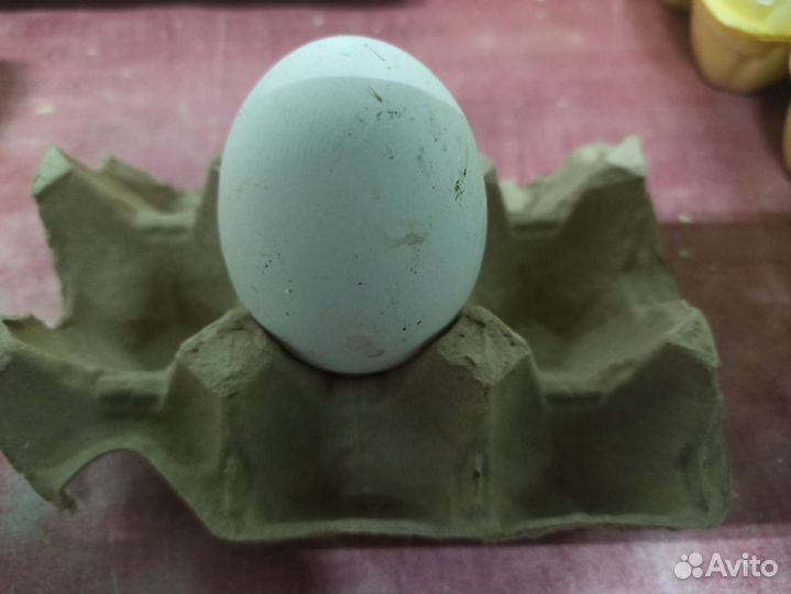 Яйцо гусиное инкубационное