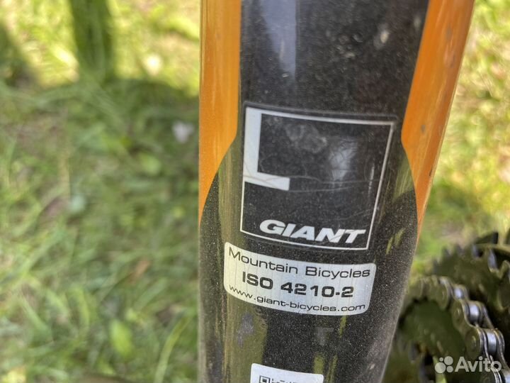 Giant rincon