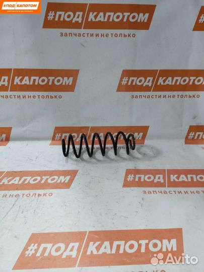Пружина задняя Ford Fusion (2002 - 2005)