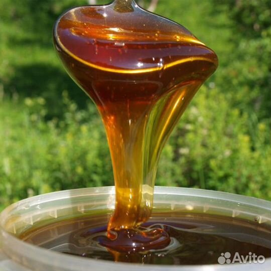 Мед алтайский/ соты