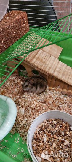 Клетка для грызунов 57*45 большая с хомяком