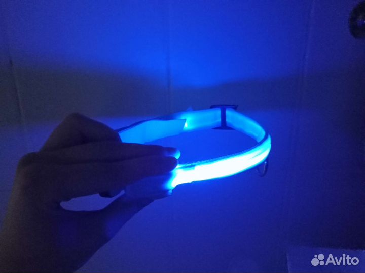 Ошейник для собак