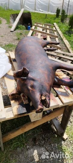 Мясо свинины домашнее