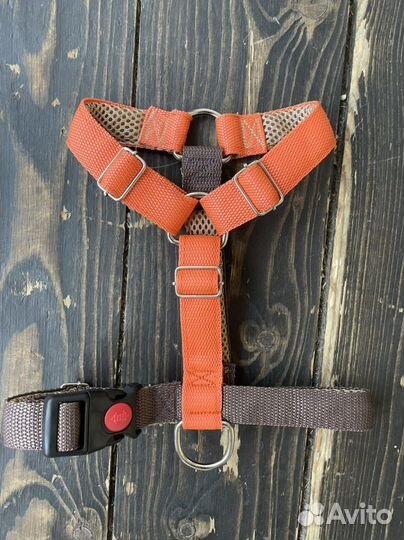 Шлейка для собаки