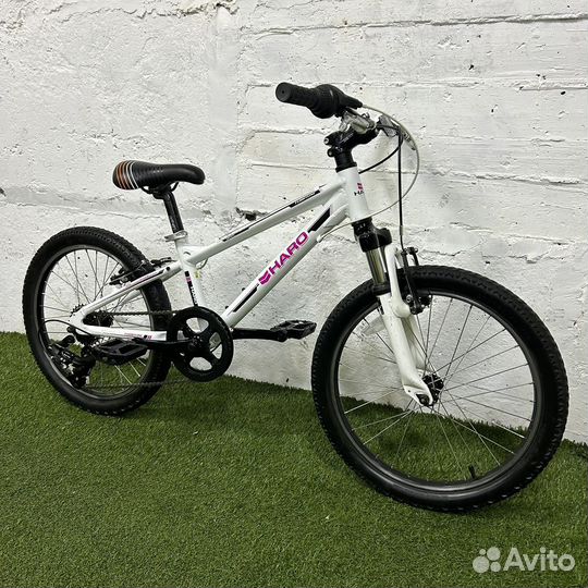 Haro flightline 20