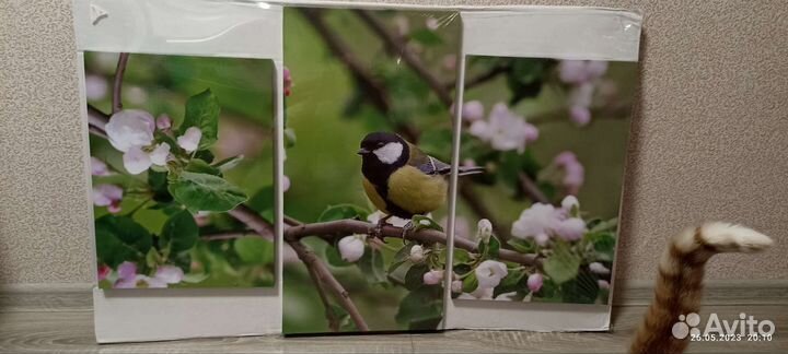 Модульная картина