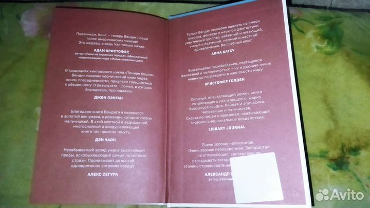 Книга несчастных случаев
