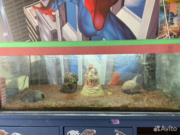 Аквариум полный комплект