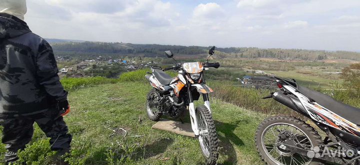 Рейсер пантера 300