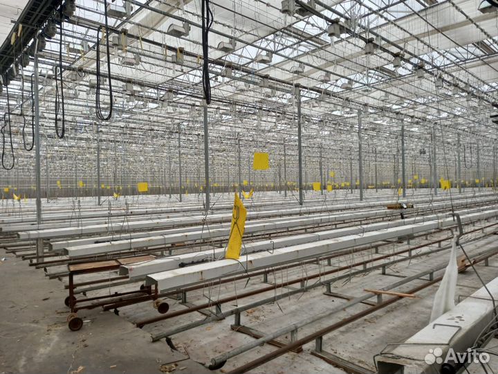 Теплицы Антрацит и Венло строим под ключ