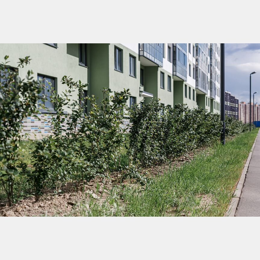 Квартира-студия, 23,7 м², 10/15 эт.