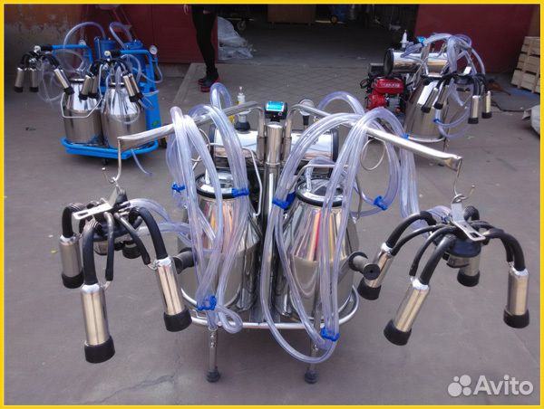 Доильный аппарат Милка коллектор Pols