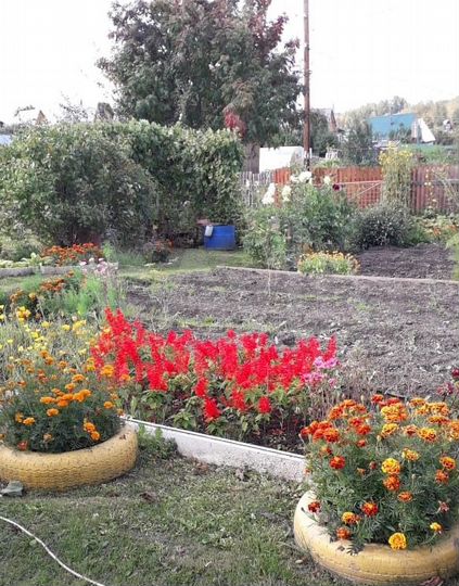 Дача 20 м² на участке 9 сот.