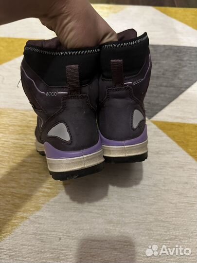 Зимние ботинки ecco 31 размер