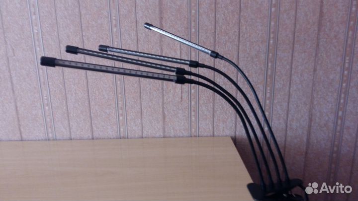 Фитолампа для растений, фитосветильник для рассады