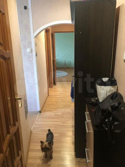 3-к. квартира, 56 м², 9/10 эт.