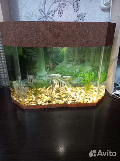Аквариум полный комплект