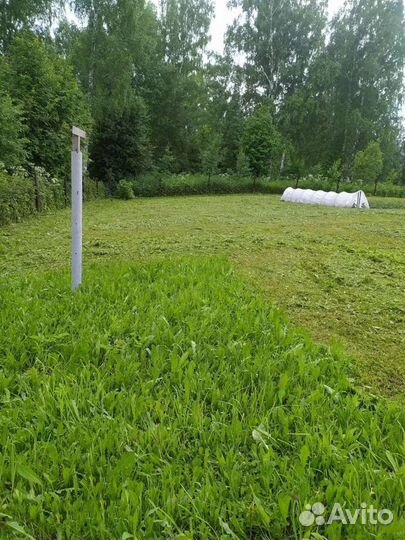 Покос травы триммером