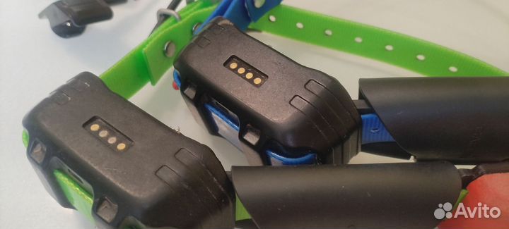 Ошейники Garmin tt15 mini Россия/Евро/Америка