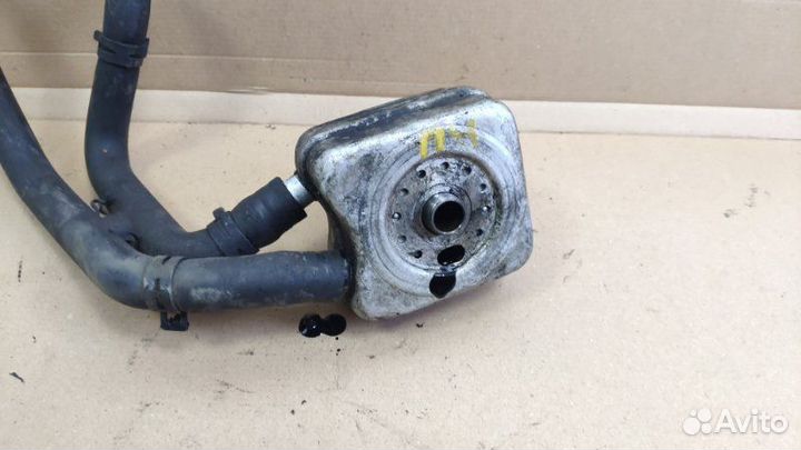 Радиатор масляный Volkswagen Golf MK4 1997-2006