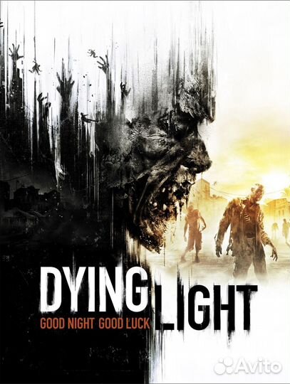 Dying Light PS4/PS5 RU