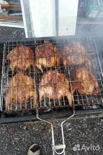 Мясо перепела, яйца
