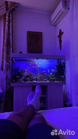 Новый Аквариум 300л и Шкаф с полками