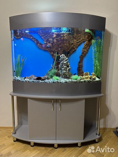 Акриловый аквариум