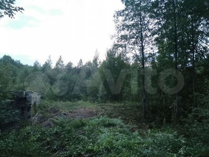 Участок 32 сот. (ИЖС)