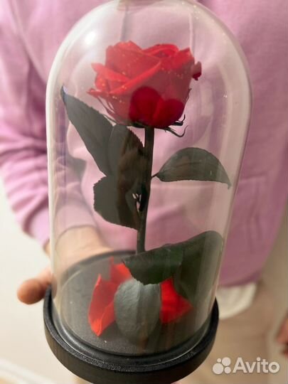 Роза в колбе
