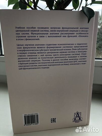 Функциональная анатомия