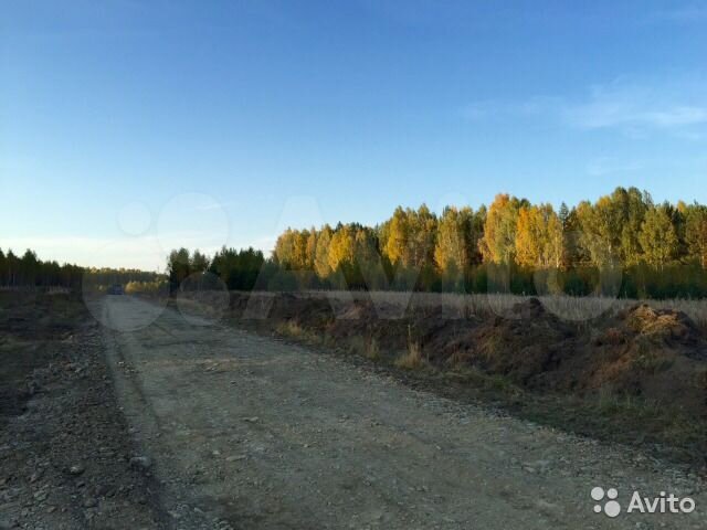 Участок 38,2 сот. (СНТ, ДНП)