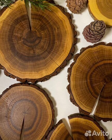 Декоративный спил дуба