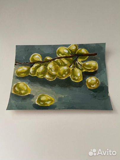 Акварельные картины, ботанические иллюстрации