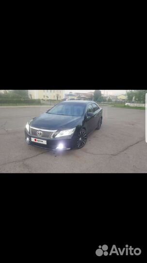 Диски venerdi r 19