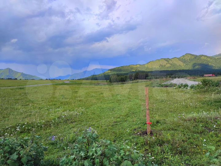 Участок 44 сот. (СНТ, ДНП)