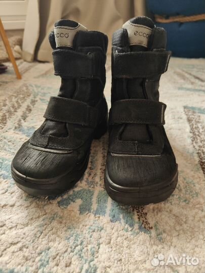 Зимние ботинки ecco