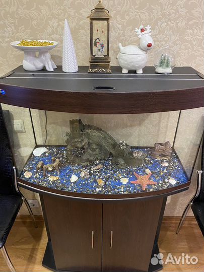Аквариум