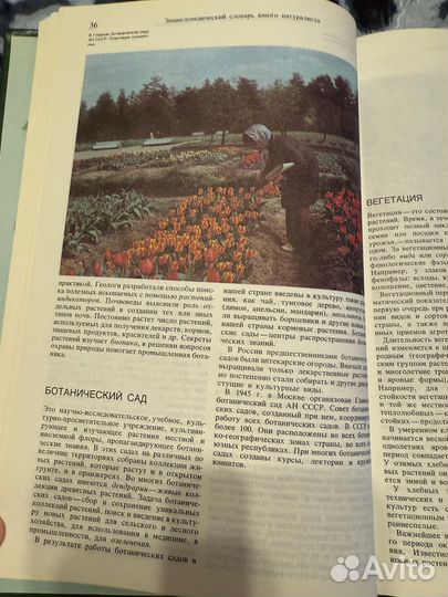 Энциклопедический словарь юного натуралиста