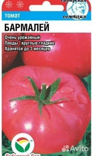 Рассада томатов балк чудо, комн сибиряк и др