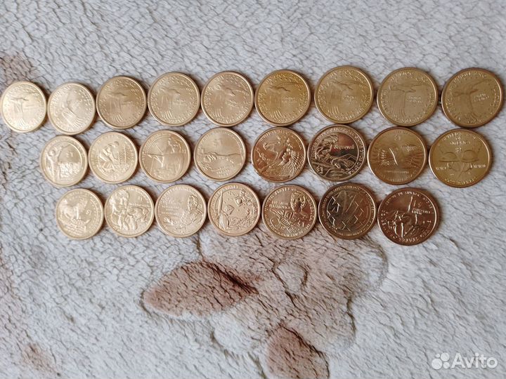 Монеты сакагавея