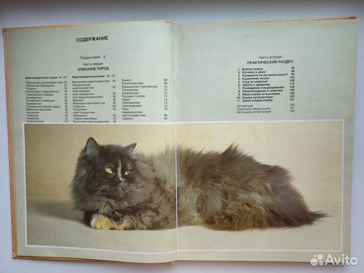 Книга о кошках